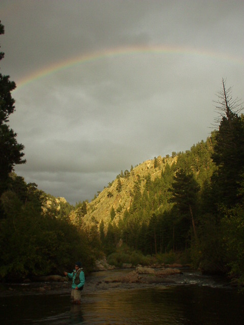 p9170003.jpg